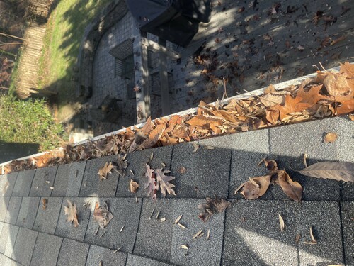 gutter in need of cleaning