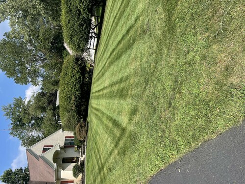 grass that has been mowed